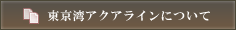 東京湾アクアラインについて