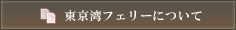 東京湾フェリーについて