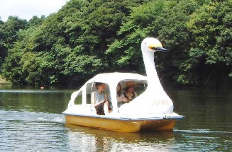 スワンボート画像