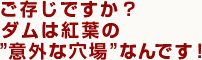 ご存じですか?ダムは紅葉の”意外な穴場”なんです!