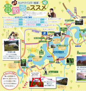 亀散歩のススメ