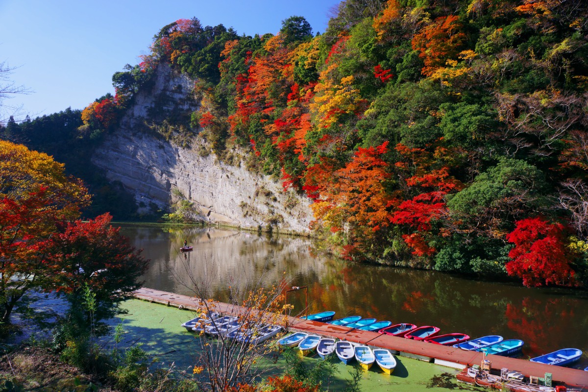 亀山オータムフェスティバル中止のご連絡 地域情報 千葉房総の亀山温泉ホテル