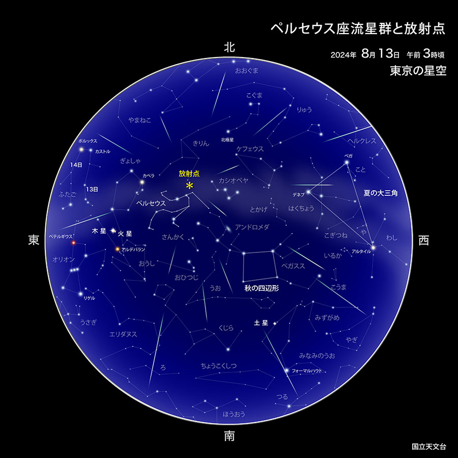 2024年ペルセウス座流星群ツアーのお知らせ