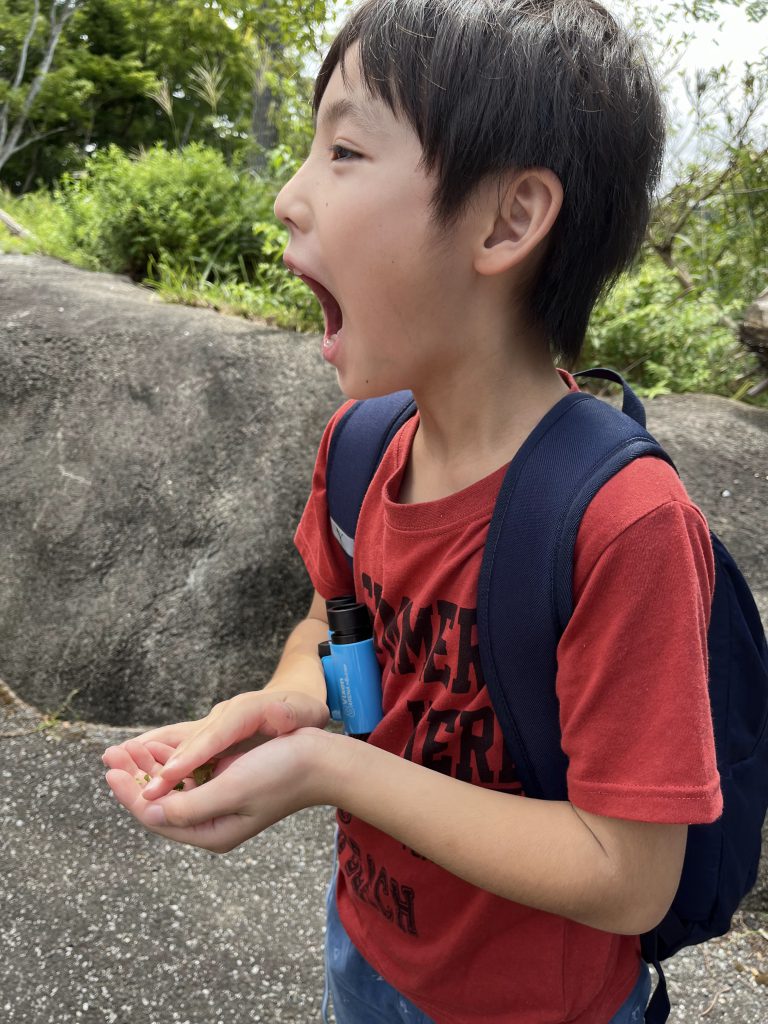 昆虫リトリート