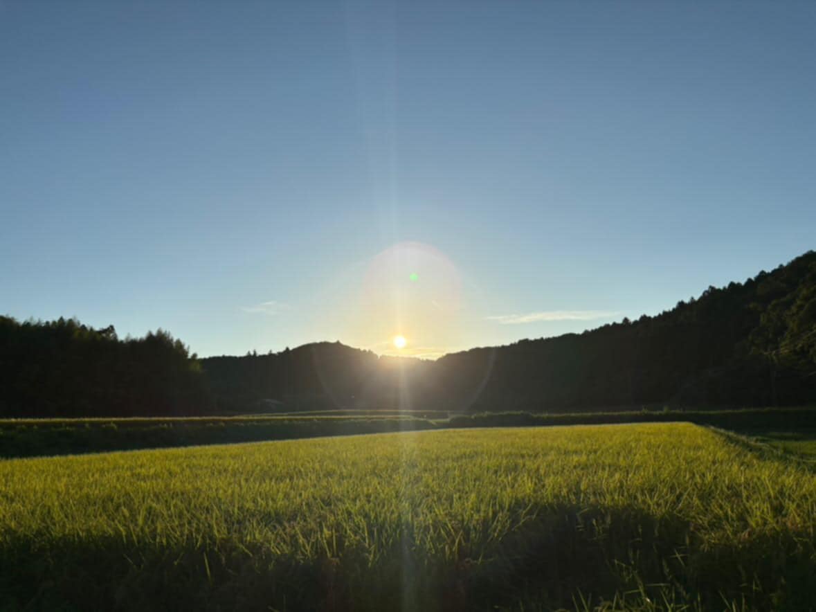 お客様の声：里山の夕日