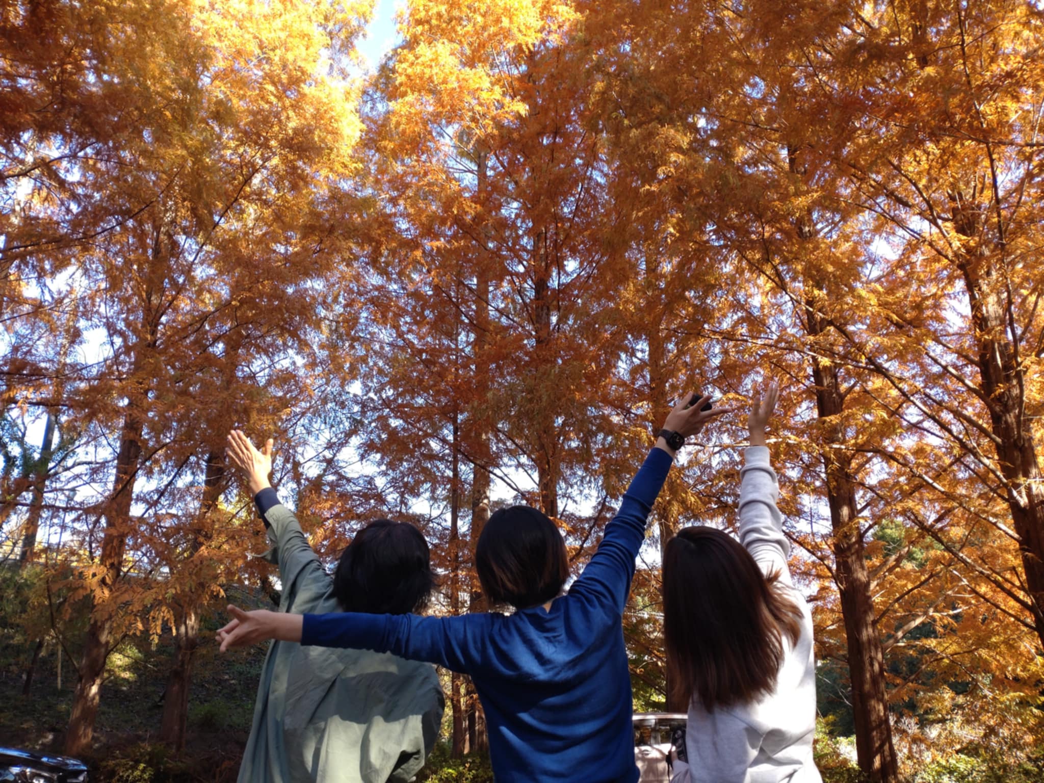 お客様の声：紅葉とカワニナ