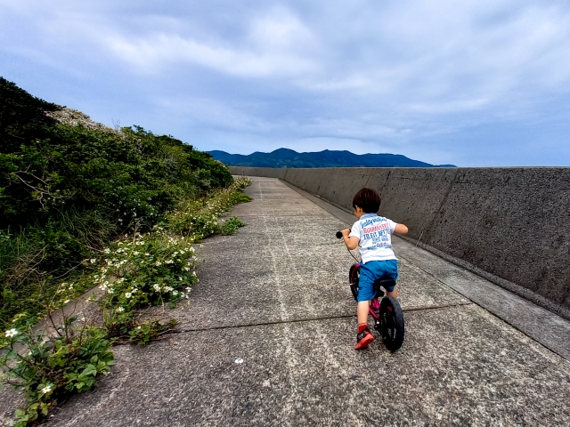 私のセンス・オブ・ワンダー２