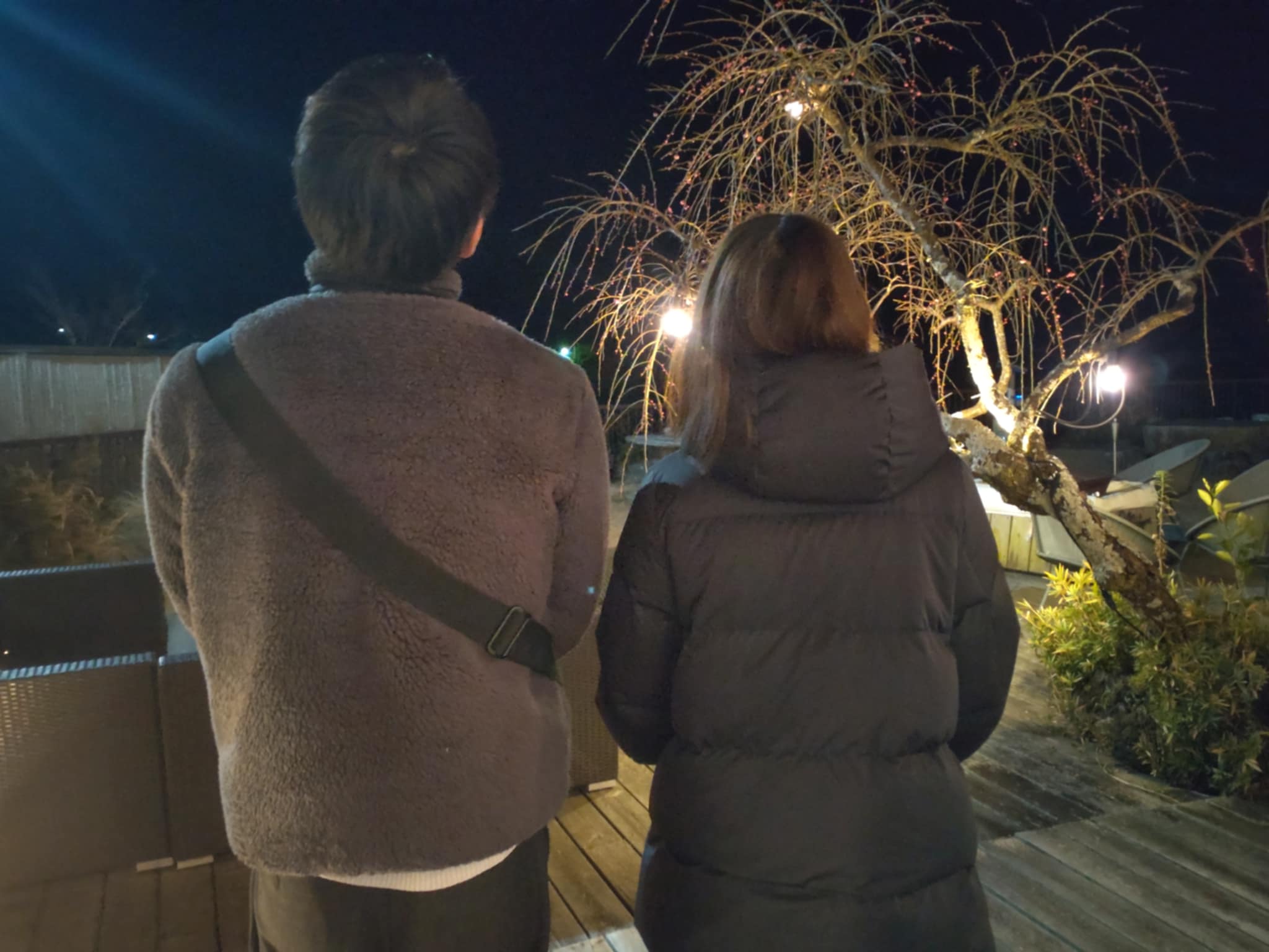 お客様の声:glampark亀山温泉のブログ、星空リトリートのご感想