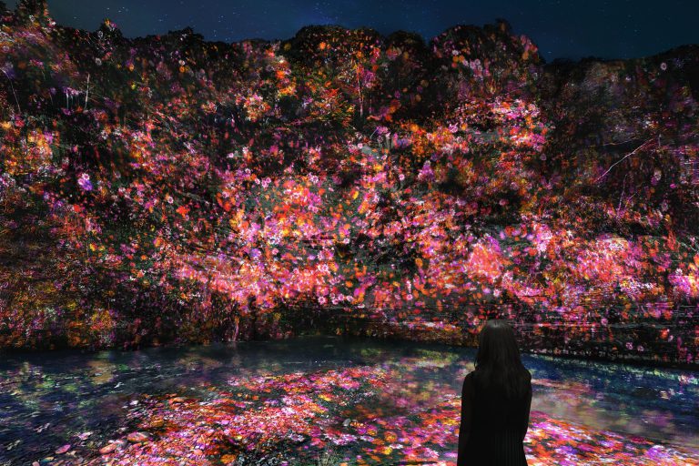アートリトリート（広域ネイチャーガイド＋『チームラボ 養老渓谷』チケット往復送迎付き）