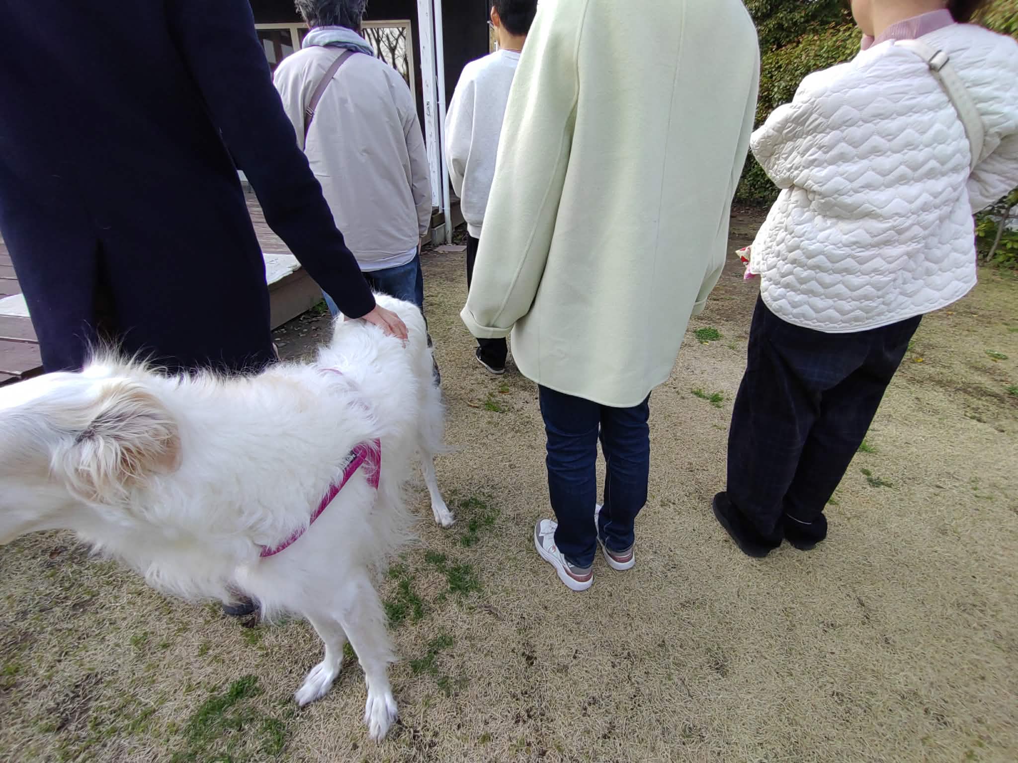 お客様の声：リトリートグランピング千葉亀山