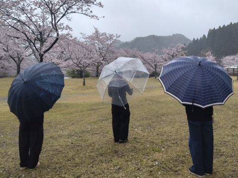 お客様の声：トトロ式マインドフルネス