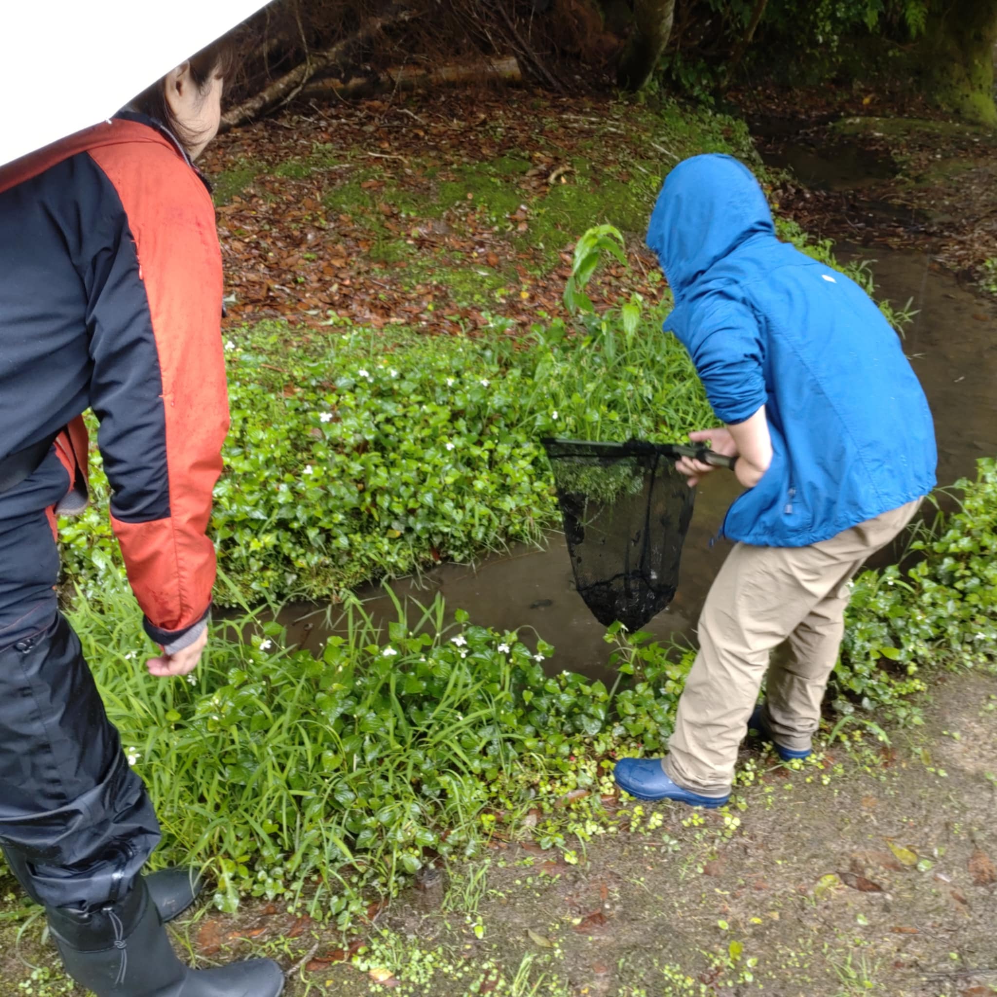 夏に向けて川遊びのコツを公開しました。