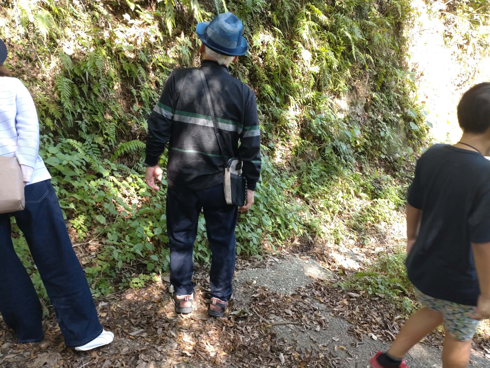 お客様の声:千葉のどこで見れるチバエナガ?